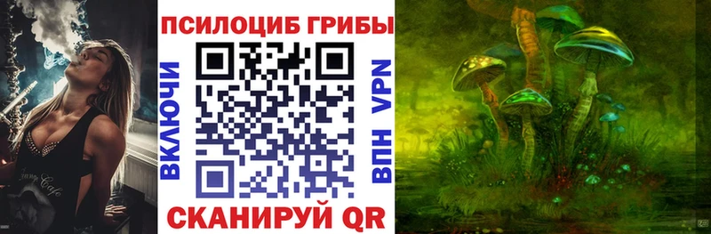 как найти наркотики  Куровское  Галлюциногенные грибы мухоморы 